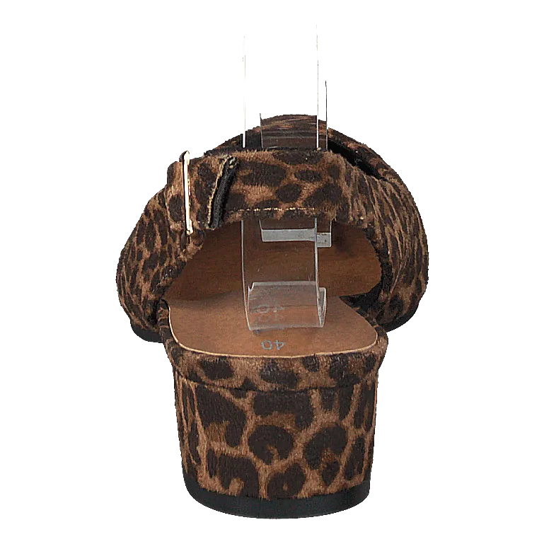 97-00700 Brown/multi