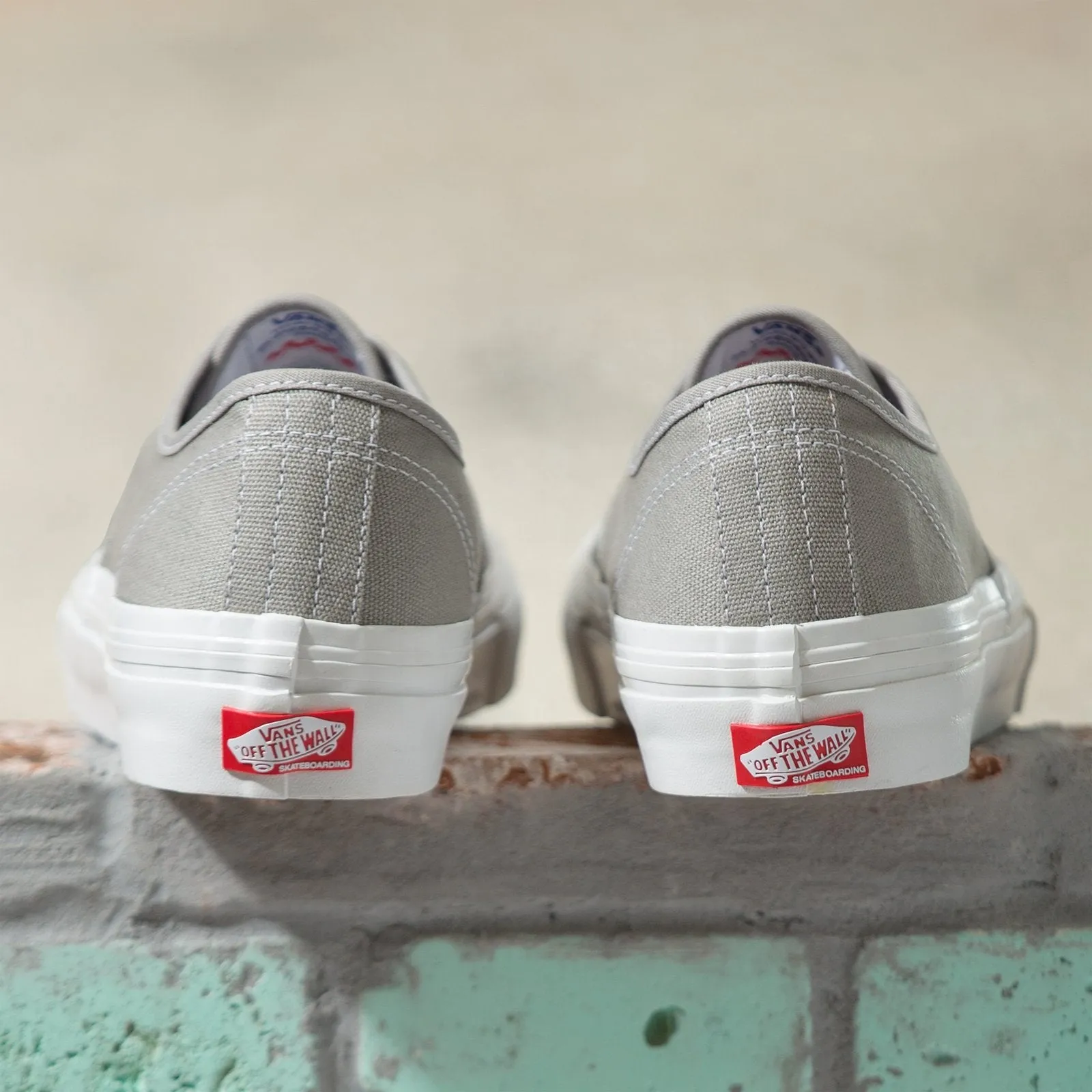 Vans Wrapped Skate Authentic Skateboard Shoe - Drizzle